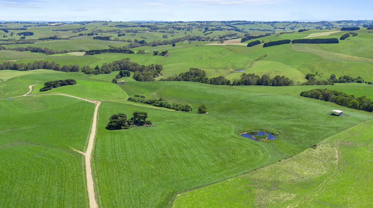 86 Shields Road, Fish Creek, VIC, 3959 - Image 4