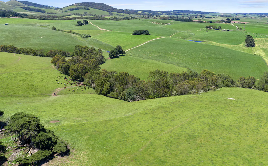 86 Shields Road, Fish Creek, VIC, 3959 - Image 7