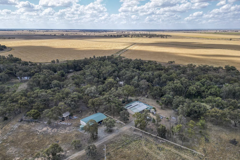 Merryanbone Road, Nyngan, NSW, 2825 - Image 1