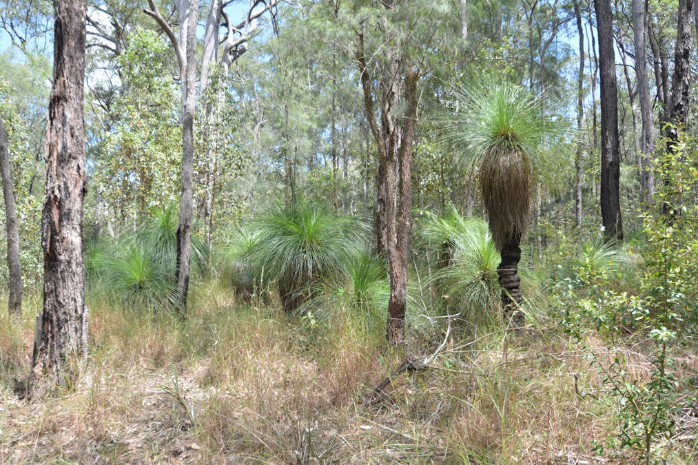 Level Lot 48/Seventeen Mile Road, Helidon, QLD, 4344 - Image 26