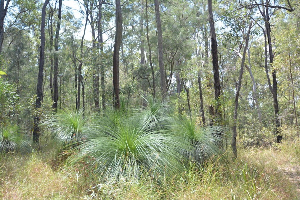 Level Lot 48/Seventeen Mile Road, Helidon, QLD, 4344 - Image 27