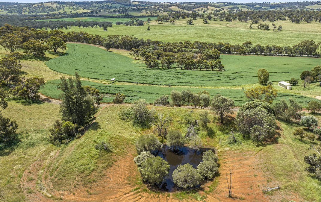 413 Wells Glover Road, Bindoon, WA, 6502 - Image 31