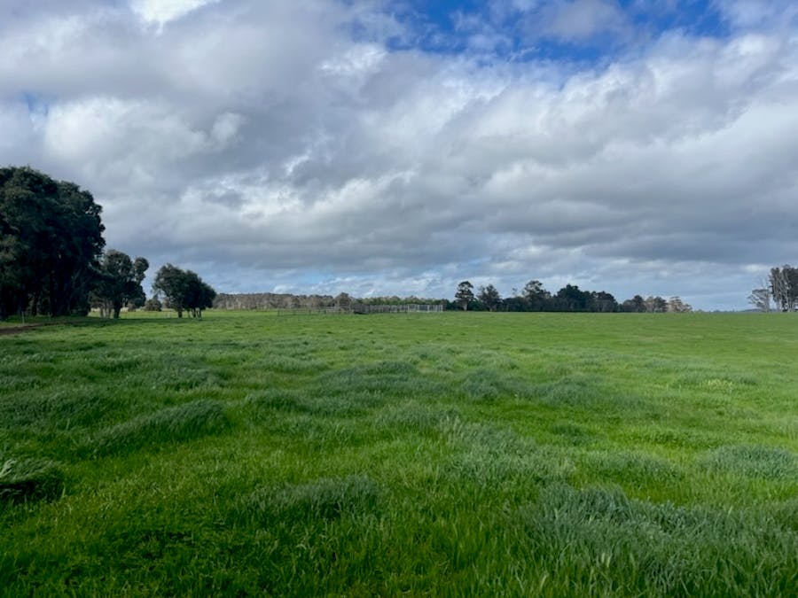 Lot 11144 Meerup Road, Northcliffe, WA, 6262 - Image 5