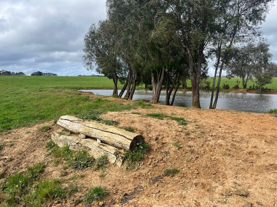 Lot 11144 Meerup Road, Northcliffe, WA, 6262 - Image 7