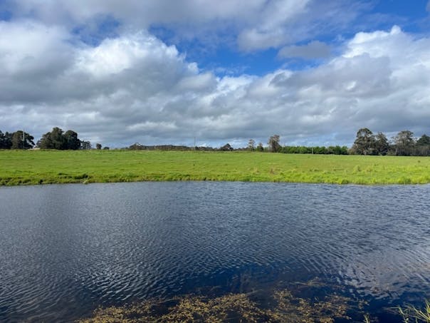 Lot 11144 Meerup Road, Northcliffe, WA, 6262 - Image 1