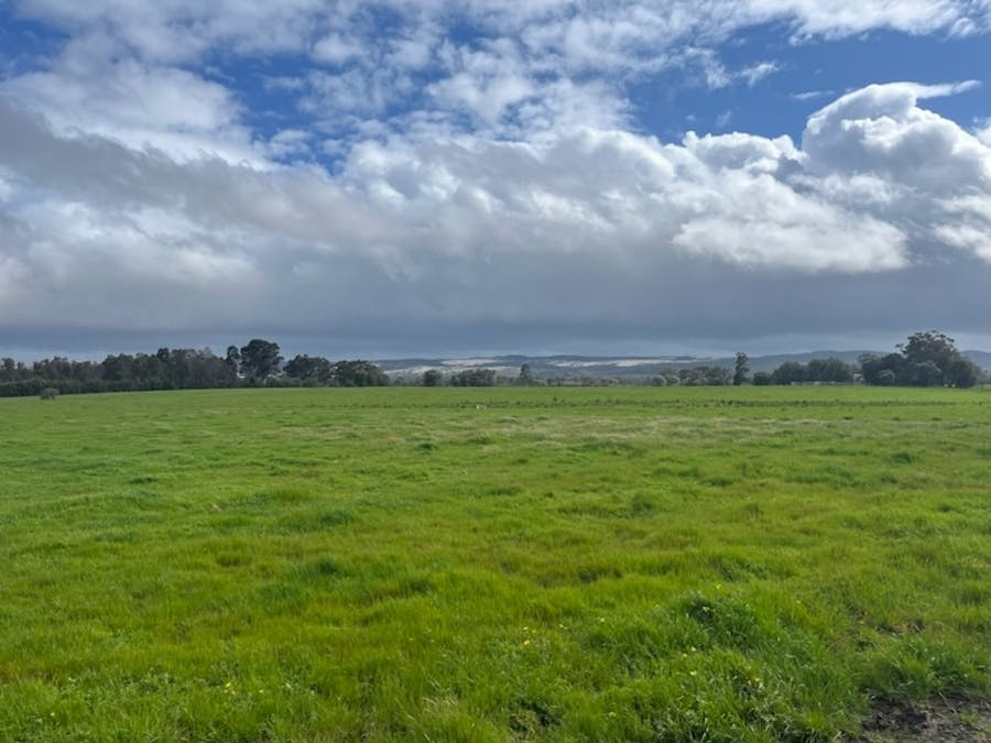 Lot 11144 Meerup Road, Northcliffe, WA, 6262 - Image 8
