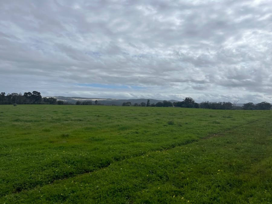 Lot 11144 Meerup Road, Northcliffe, WA, 6262 - Image 9