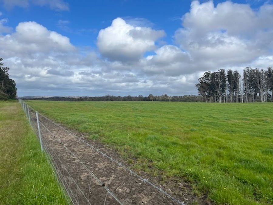 Lot 11144 Meerup Road, Northcliffe, WA, 6262 - Image 10