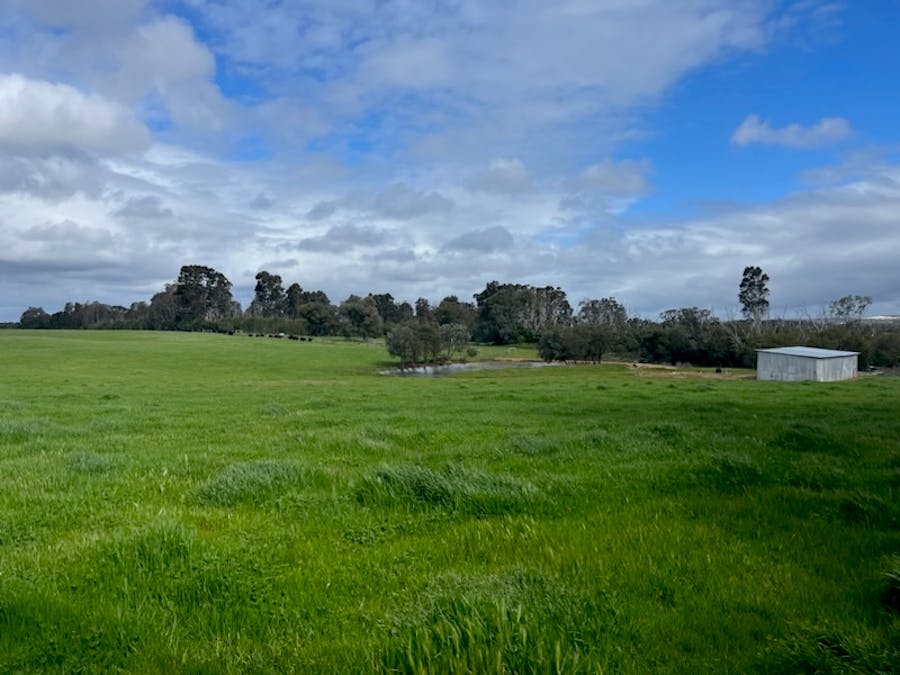 Lot 11144 Meerup Road, Northcliffe, WA, 6262 - Image 11