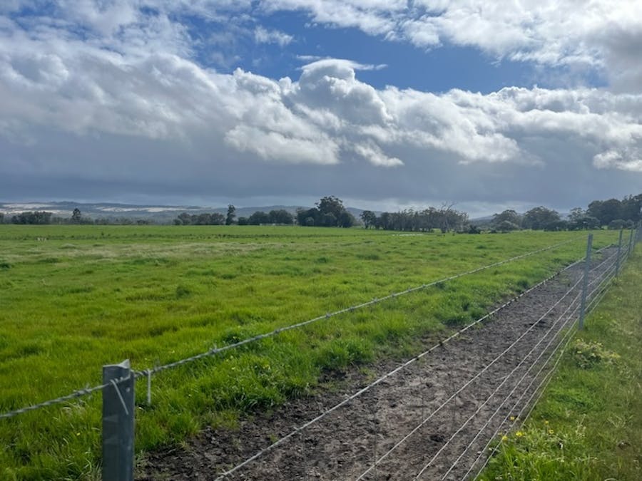 Lot 11144 Meerup Road, Northcliffe, WA, 6262 - Image 12