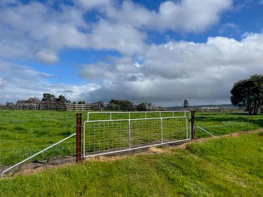 Lot 11144 Meerup Road, Northcliffe, WA, 6262 - Image 13