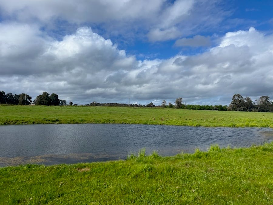 Lot 11144 Meerup Road, Northcliffe, WA, 6262 - Image 2