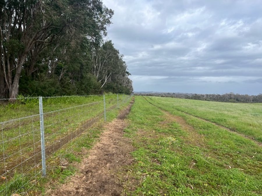 Lot 11144 Meerup Road, Northcliffe, WA, 6262 - Image 3