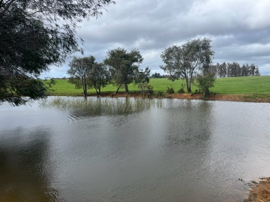 Lot 11144 Meerup Road, Northcliffe, WA, 6262 - Image 14