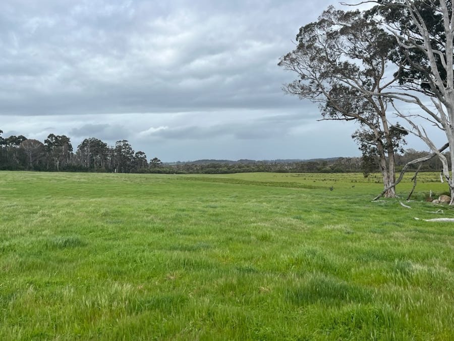 Lot 11144 Meerup Road, Northcliffe, WA, 6262 - Image 4