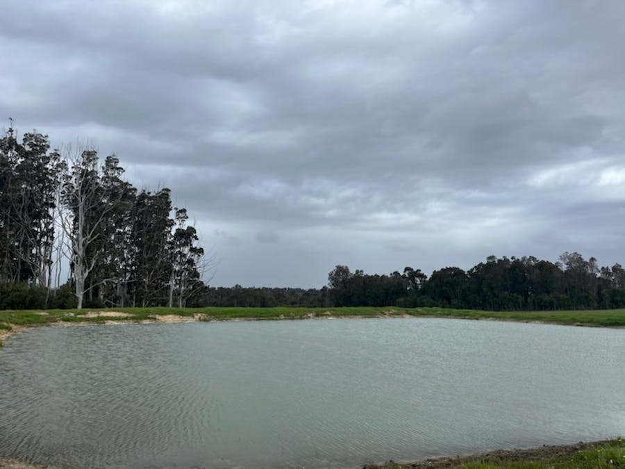Lot 11144 Meerup Road, Northcliffe, WA, 6262 - Image 15