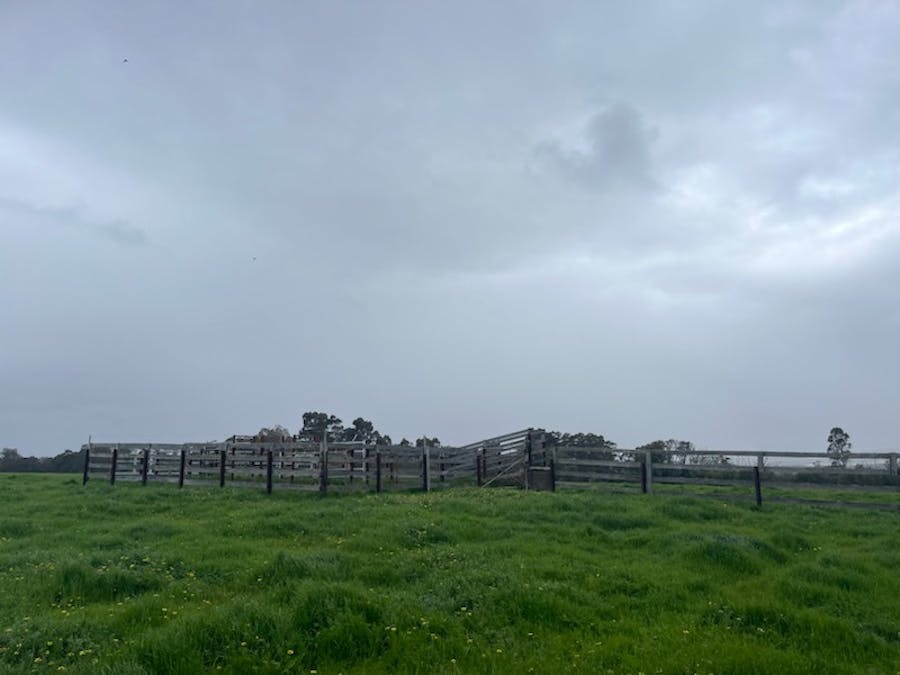 Lot 11144 Meerup Road, Northcliffe, WA, 6262 - Image 17
