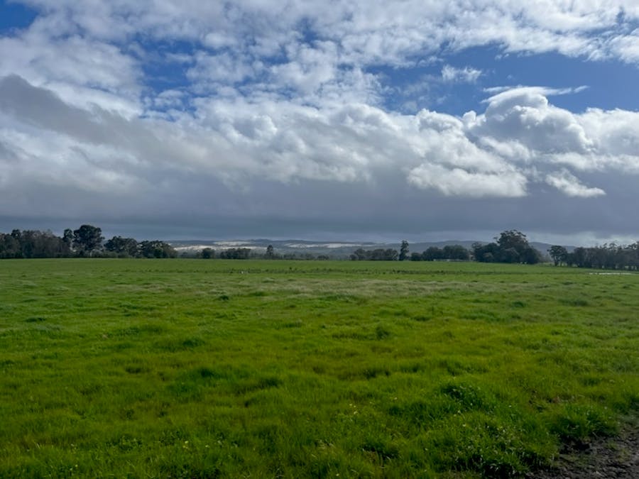 Lot 11144 Meerup Road, Northcliffe, WA, 6262 - Image 18