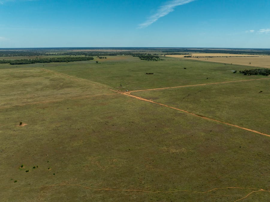 Haddington, 647 Sandy Camp Road, Quambone, NSW, 2831 - Image 21