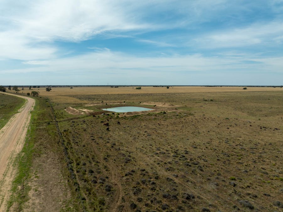 Haddington, 647 Sandy Camp Road, Quambone, NSW, 2831 - Image 19