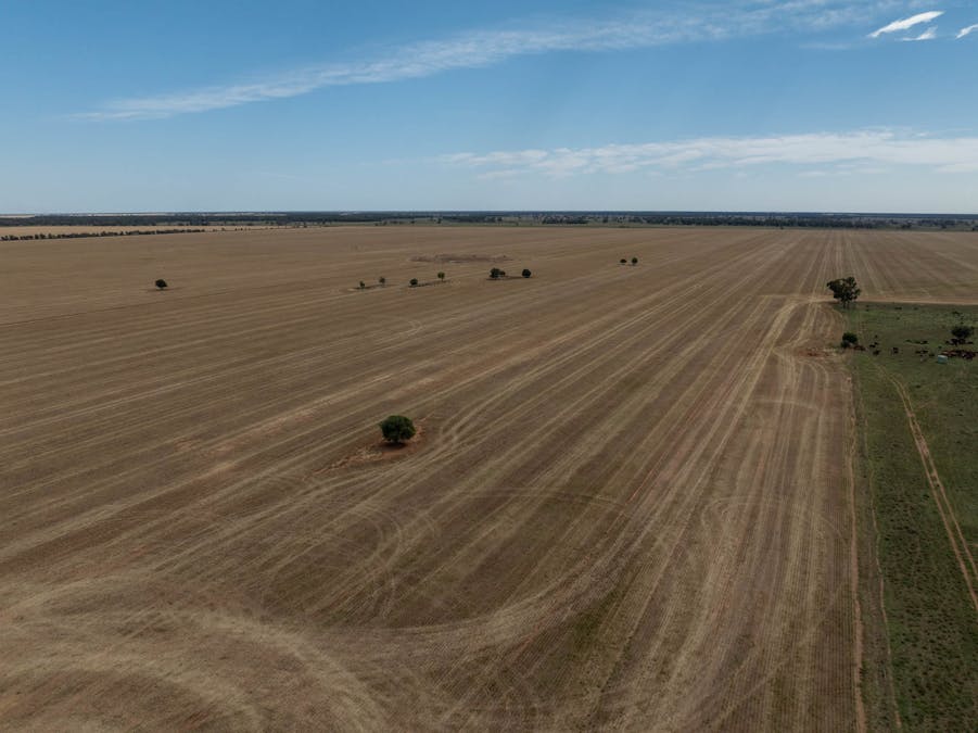 Haddington, 647 Sandy Camp Road, Quambone, NSW, 2831 - Image 3