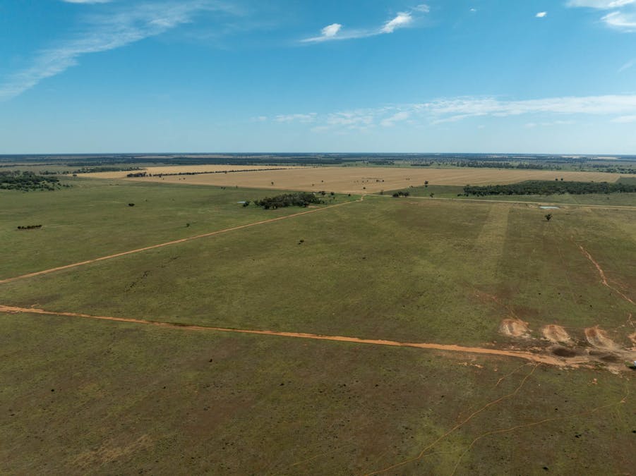 Haddington, 647 Sandy Camp Road, Quambone, NSW, 2831 - Image 20