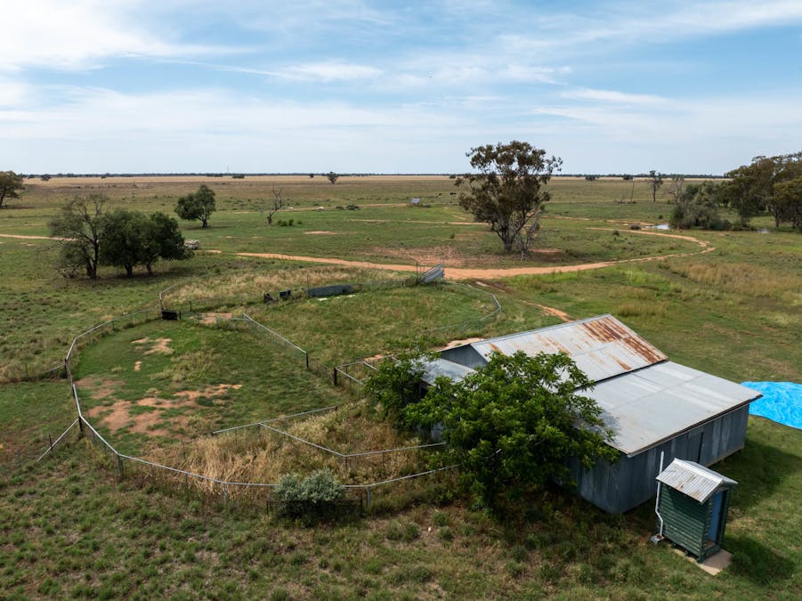 Haddington, 647 Sandy Camp Road, Quambone, NSW, 2831 - Image 17