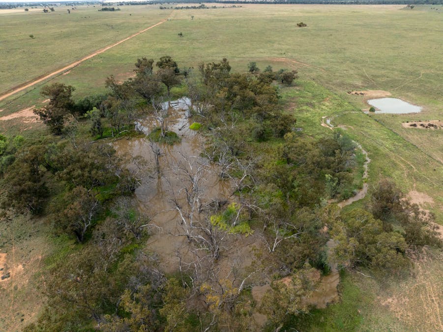 Haddington, 647 Sandy Camp Road, Quambone, NSW, 2831 - Image 23