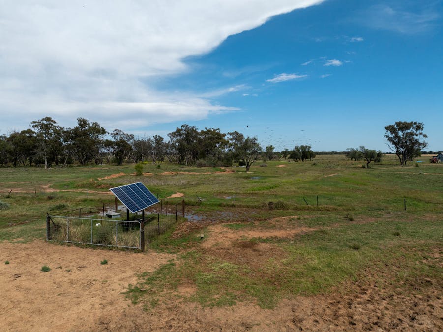 Haddington, 647 Sandy Camp Road, Quambone, NSW, 2831 - Image 22