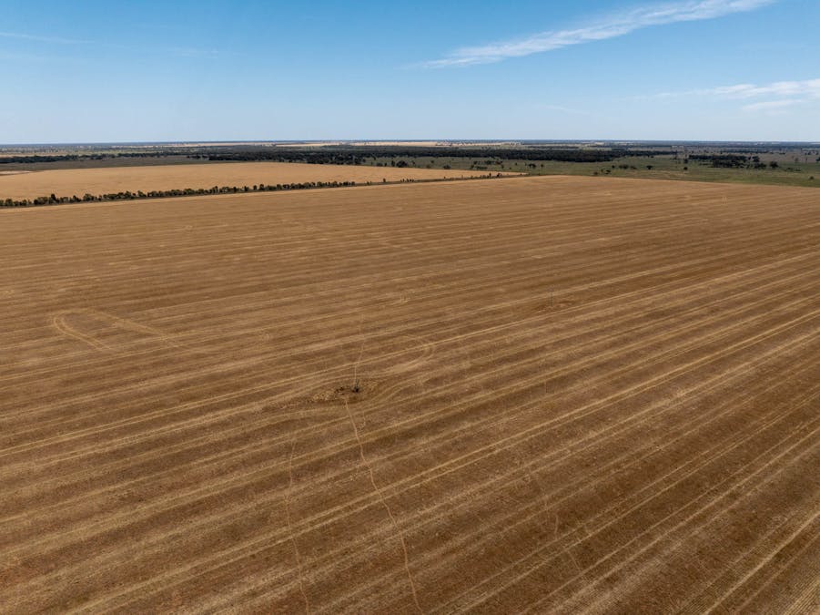 Haddington, 647 Sandy Camp Road, Quambone, NSW, 2831 - Image 4