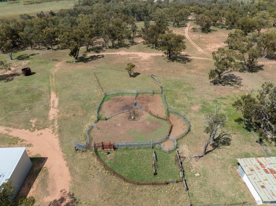Haddington, 647 Sandy Camp Road, Quambone, NSW, 2831 - Image 16