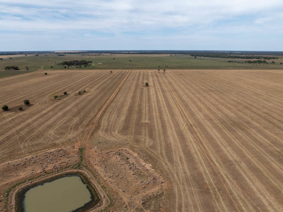 Haddington, 647 Sandy Camp Road, Quambone, NSW, 2831 - Image 2