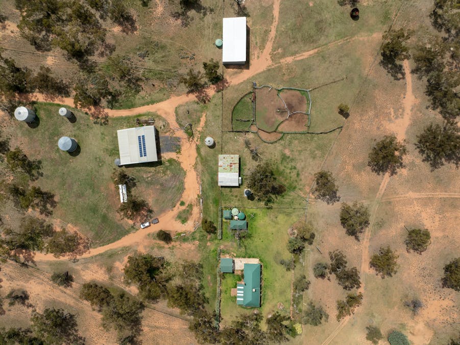 Haddington, 647 Sandy Camp Road, Quambone, NSW, 2831 - Image 10