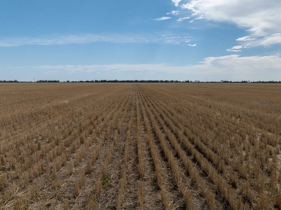 Haddington, 647 Sandy Camp Road, Quambone, NSW, 2831 - Image 5