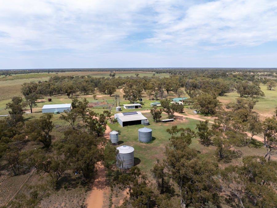 Haddington, 647 Sandy Camp Road, Quambone, NSW, 2831 - Image 13