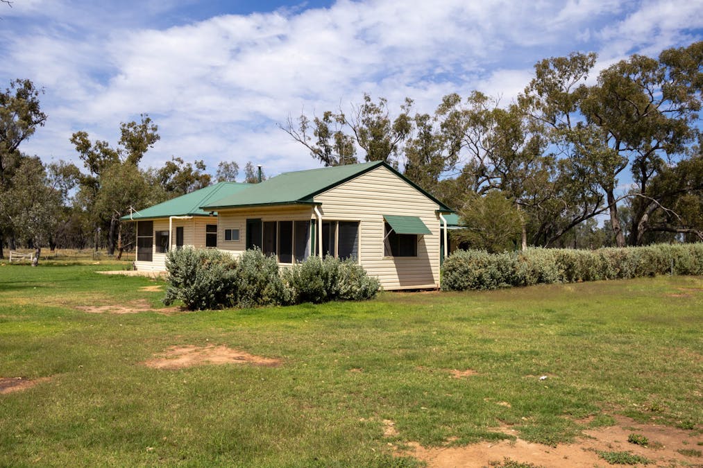 Haddington, 647 Sandy Camp Road, Quambone, NSW, 2831 - Image 11