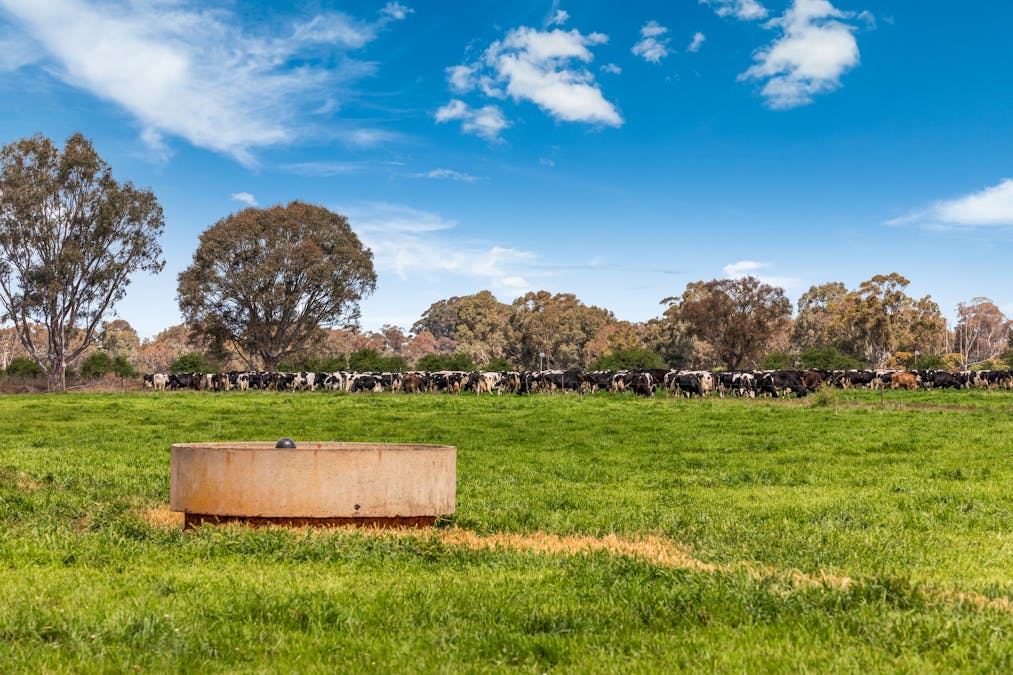 2217 Henderson Road, Girgarre, VIC, 3624 - Image 21