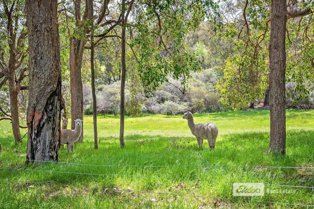 1372 Cundinup - Kirup Road, Brazier, WA, 6251 - Image 7