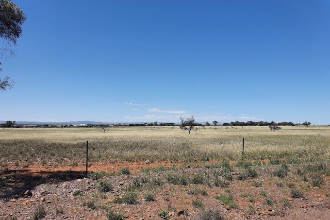324 Modystach Road, Wilmington, SA, 5485 - Image 1