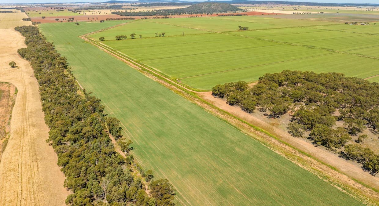 Boundary Road, Murrami, NSW, 2705 - Image 21