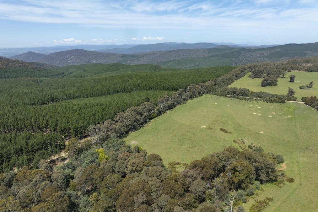 1187 Bonnie Doon Road, Boho South, VIC, 3669 - Image 10