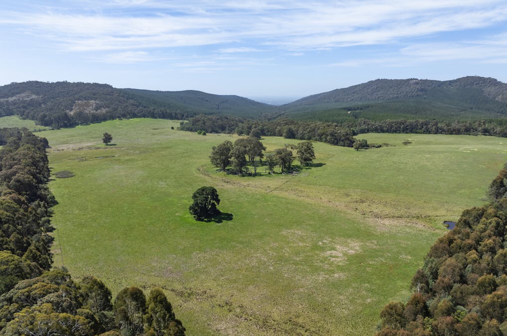 1187 Bonnie Doon Road, Boho South, VIC, 3669 - Image 8