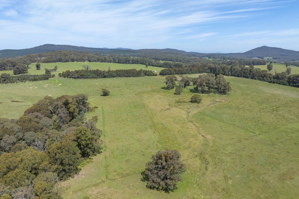 1187 Bonnie Doon Road, Boho South, VIC, 3669 - Image 7