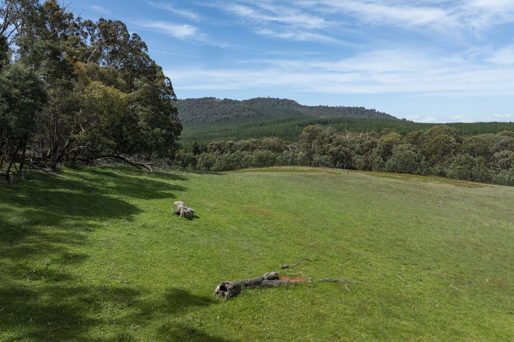1187 Bonnie Doon Road, Boho South, VIC, 3669 - Image 9