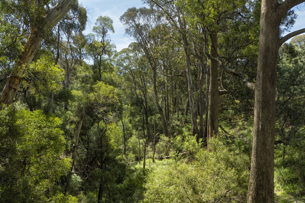 1187 Bonnie Doon Road, Boho South, VIC, 3669 - Image 14