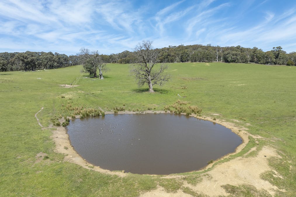 1187 Bonnie Doon Road, Boho South, VIC, 3669 - Image 3