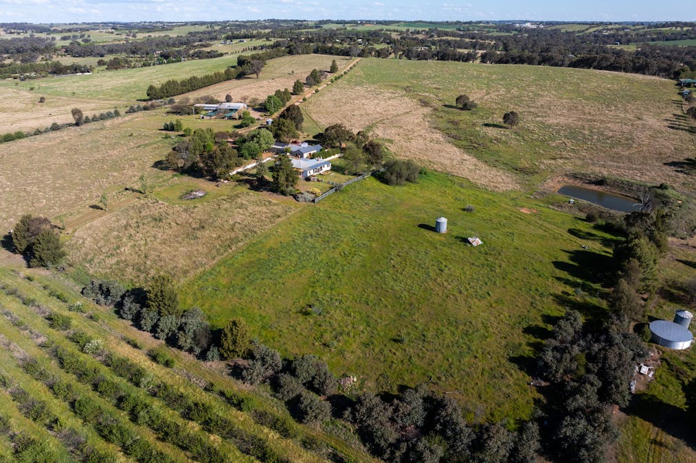 251 Pattersons Lane, Young, NSW, 2594 - Image 28