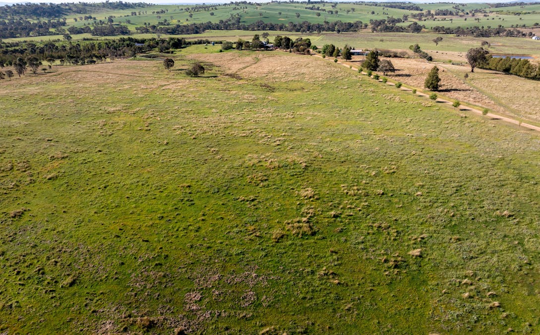 251 Pattersons Lane, Young, NSW, 2594 - Image 33