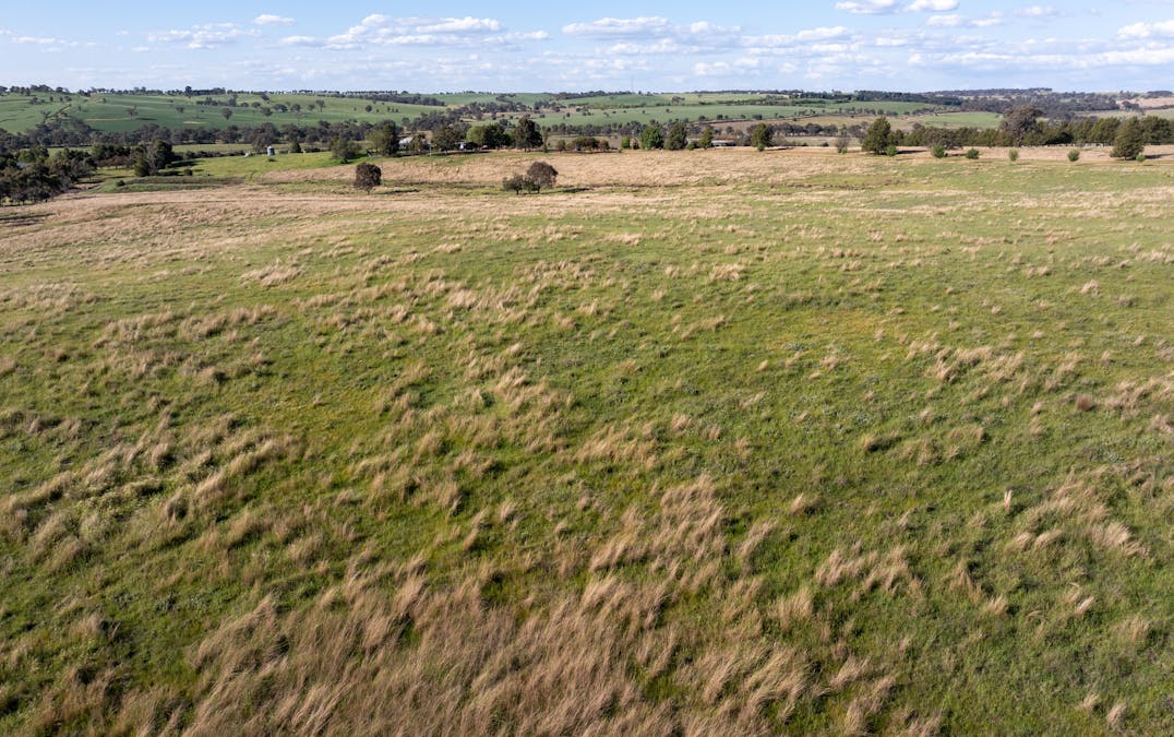 251 Pattersons Lane, Young, NSW, 2594 - Image 35
