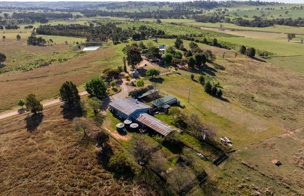 251 Pattersons Lane, Young, NSW, 2594 - Image 27